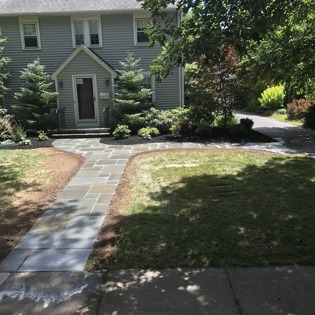 Steps & Walkway