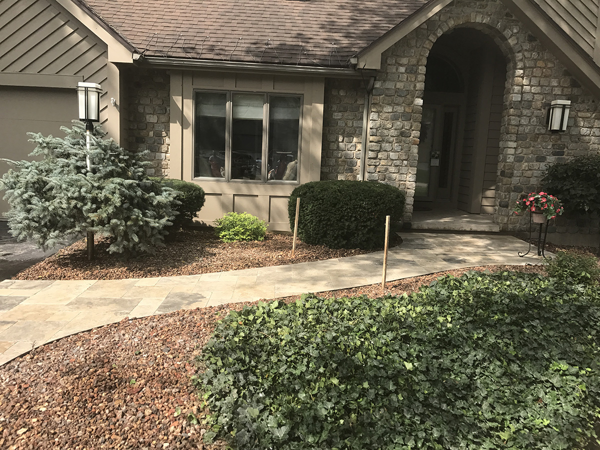 Steps & Walkway
